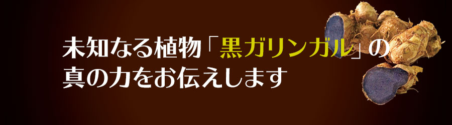 LED導入に当社が選ばれる理由